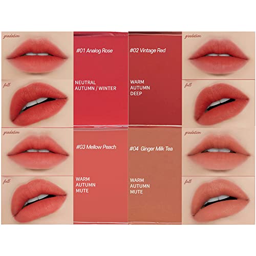 Etude 651000216 Fixing Tint #05 Midnight Mauve (23Ad) | Long Lasting High Pigmented Liquid Lipstick | Waterproof Lightweight Matte Finish Lip Stain thumb #5