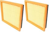 Denso Air Filter - 143-3068 (Pack of 2)