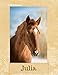 Produktbild Julia: Chestnut Horse Personalised Notebook (Large) (Chestnut Horse Personalised Notebooks, Band 17)