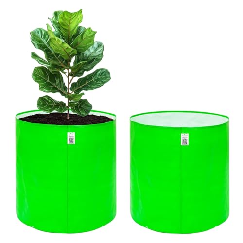 Image of Anandi Green's Hdpe Uv Protected 260 GSM Round Green Colour Plants Grow Bags Suitable for Terrace and Vegetable Gardening 21x21 INCH Pack of 2