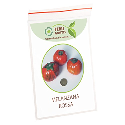 SemiGratis - 10 Semi di Melanzana Rossa - Solanum