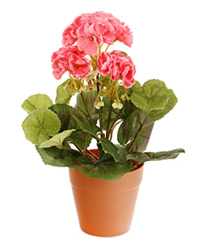 Closer To Nature HBC008PE - Geranio zonal artificial, 24 cm, color rosado