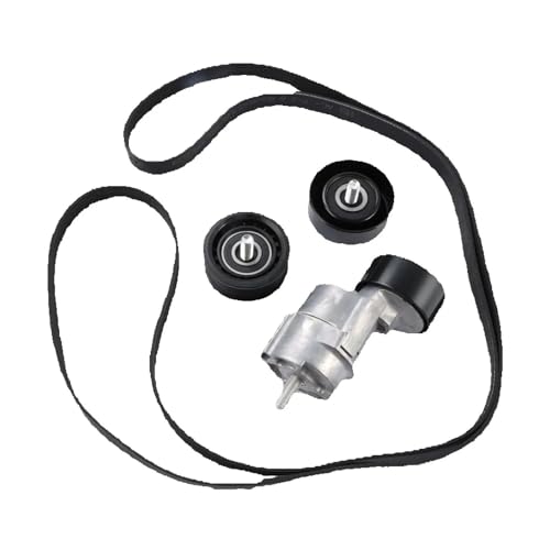 Kit courroie de transmission 6PK2125 haute durabilité pour moteurs Kia Hyundai
