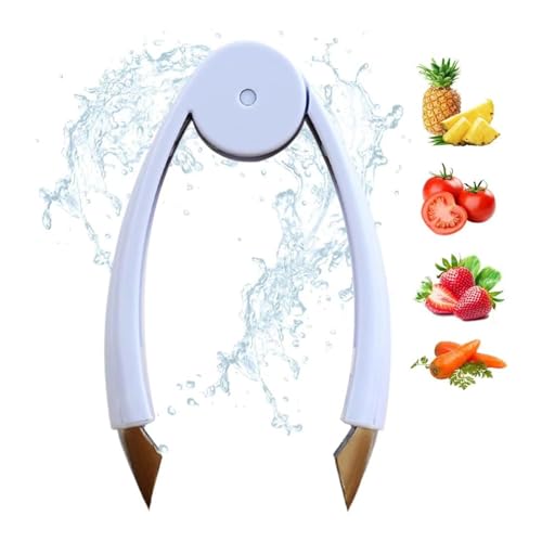 Multifunctional Stainless Steel Pineapple Eye Remover, Fruit Corer, and Slicer - Pineapple Cutter Kitchen Tool (BLUE-1PIC)