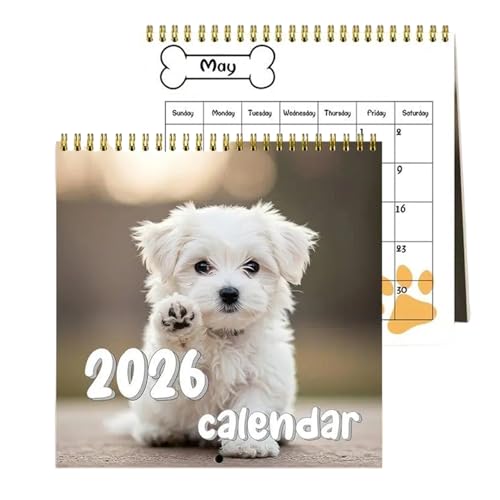 Calendario divertido Dogs 2026, 20x20 cm Calendarios, agenda mensual, gran cuadrícula, casa, oficina, objetivos, reuniones, vacaciones, preparaciones, clase, rutina, fitness
