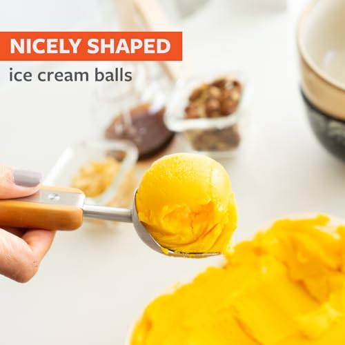 Image of Full Circle Ice Breaker Stainless Steel Ice Cream Scoop, Dishwasher Safe