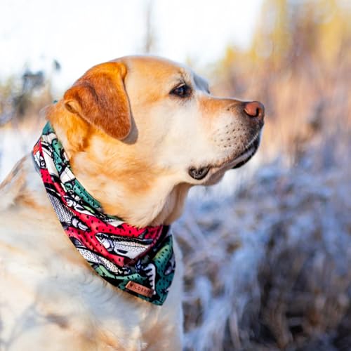 Image of Wilderdog Dog Bandana with Lightweight Quick Drying Poly-Blend Mesh Material in Gone Fishing