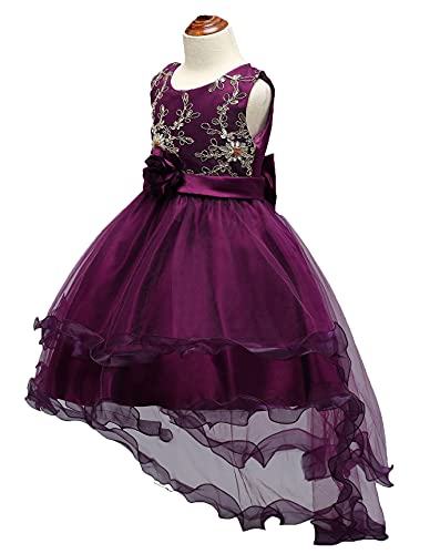 Embroidered Children Clothes Trailing Dress Junior Girl Wedding Party Princess Dress3