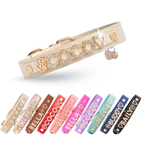 Paws Paws Miami Female Dog Collars with Custom Bling for Small, Medium and Large Girl Dogs
