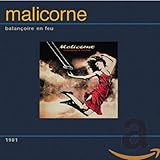 malicorne sur sarthe la petite auberge  Balancoire en Feu