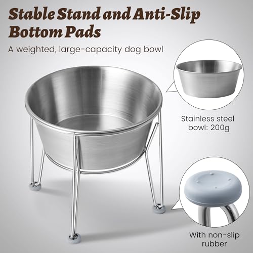 Wellbro Elevated Dog Bowls for Medium&Small Dogs - Stainless Steel 48oz/6 Cups Raised Feeder with Non-Slip Base, Dual Food & Water Bowls 2-Pack