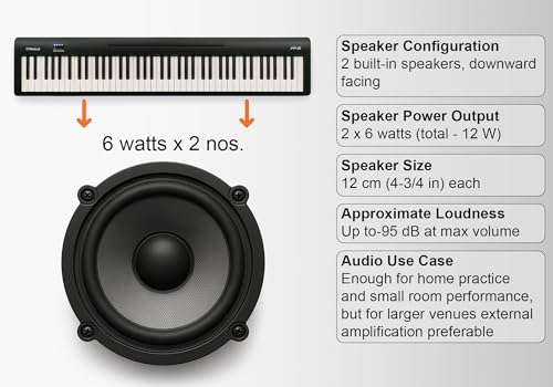 Image of Roland FP-10 88-Key Digital Piano - Black Bundle with KSC-FP10 Stand, Bench, Sustain Pedal, Instructional Book, Online Lessons, Instructional DVD, and Austin Bazaar Polishing Cloth
