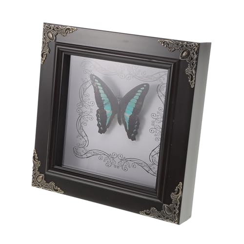 DECHOUS Framed Butterfly Specimen Real Butterflies Decor Unique Wall Art Display