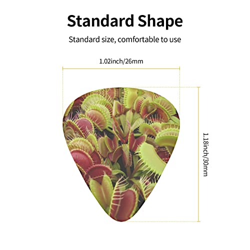 Médiators de guitare 12-Pack Médiators de plantes carnivores pour guitare électrique Guitare acoustique Diverses… - Les Beatles, Paul McCartney, John Lennon, RIngo Starr, George Harrison Médiators de guitare 12-Pack Médiators de plantes carnivores pour guitare électrique Guitare acoustique Diverses… – Image 4