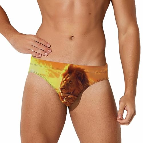 African Safari Lion Sunset Mens Swim Briefs Quick Dry Swimming Trunks Training Swimsuit Low Rise Swimwear