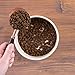 Wholesomes Beef Meal & Potatoes Grain-Free Dry Dog Food 35 lb