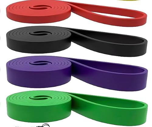 Resistance Bands Set for Pull-Up Assistance & Full-Body Workouts – 4 Levels, Durable Bands with Door Anchor & Carry Bag, Ideal for Strength Training, Muscle Building & Physical Therapy (Men/Women)
