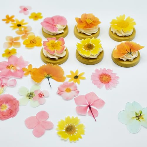 Flowers for Cake Decorating, Edible Wafer Paper Flowers 56x Cake Toppers for Birthday, Wedding, Baby Shower, Cupcake Toppers for Dessert, Baking Decorations Supplies