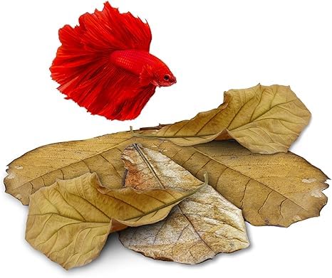 JOR 25 Pack Large Leaves