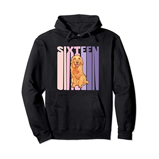 16 Años Cumpleaños Retro Golden Retriever Chicas Niña Sudadera con Capucha