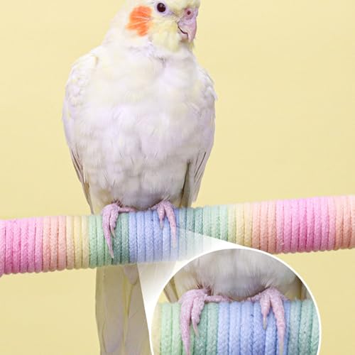 Perchoir pour perruche calopsitte conure inséparable avec jeu escalade et éveil