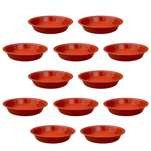 Image of Plant Saucer Base Plate for Pots | Premium Planter Tray |100% Virgin Plastic, UV Treated, Durable & Lightweight | Ideal for Indoor & Outdoor (12, 6 inch Tr)