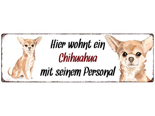 Interluxe Metallschild - Hier wohnt ein Chihuahua - Dekoschild, Türschild oder Hundeschild als Geschenk für Menschen mit Hund