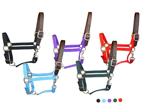 Adjustable Nylon Breakaway Safety Horse Halters (Purple, Full)