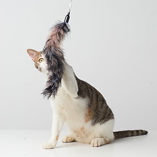 Vnthings Cat Toys Interactive Feather Wand Retractable With Pack 3 Assorted Natural Feathers Refills Teaser And Exerciser Attachments With Bell Attached #TOP5