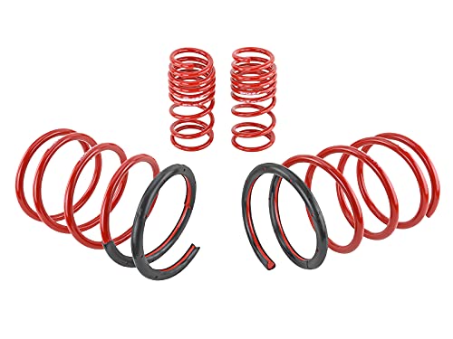 Skunk2 Lowering Springs for 2001-2005 Honda Civic | 519-05-1570 - Image 5