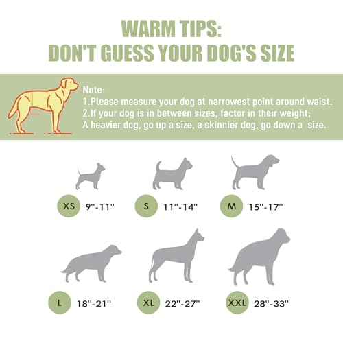 Image of Wegreeco Washable Male Dog Diapers (Pack of 3) - Washable Male Dog Belly Wrap (X-Small)
