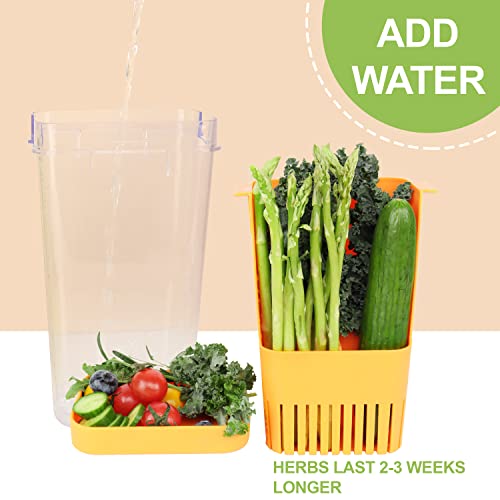 Image of LUVCOSY Fresh Herb Keeper for Refrigerator, Clear BPA-Free Herb Saver, Storage Container for Cilantro, Parsley, Thyme, Mint & Asparagus, Preserver Keeps Fresh Herbs for 3 Times Longer, Orange