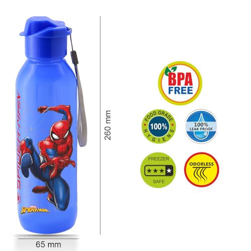 Image of SKi Homeware Trio 3 Compartment Bento Lunch /Snack Box + Sipper Bottle Combo |for Kids' School, Picnic, Sports | for Return Gifts or Party Favours- Spidrman