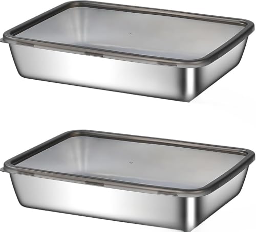 Citybaby保存容器 ステンレス製 弁当箱 ステンレス ふた付 密閉冷凍対応 食器洗浄機OK 大容量 オーブン/冷蔵庫/電子レンジ用 キムチ フタ付き 積み重ね可能 調理/保存/持ち運び三拍子 野菜 キッチン 家庭 ピクニック 旅行用 (2個) [並行