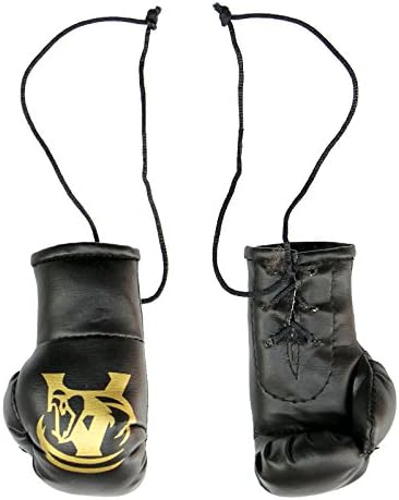 Boxing Car Mirror Hanging Boxing Gloves