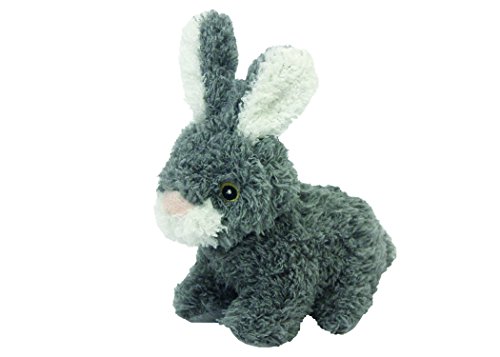 Multipet Look Who's Talking Plush Talking Rabbit Dog Toy, 6-Inch - //coolthings.us