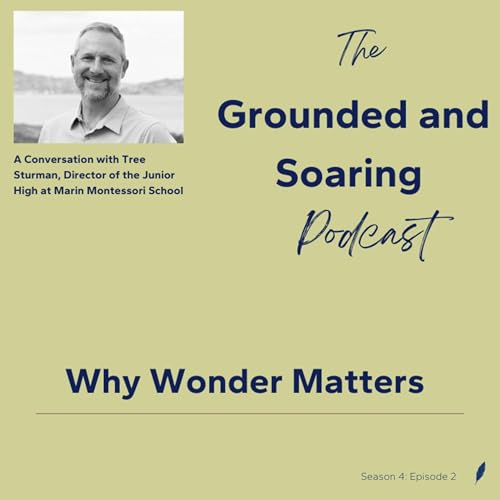 Why Wonder Matters