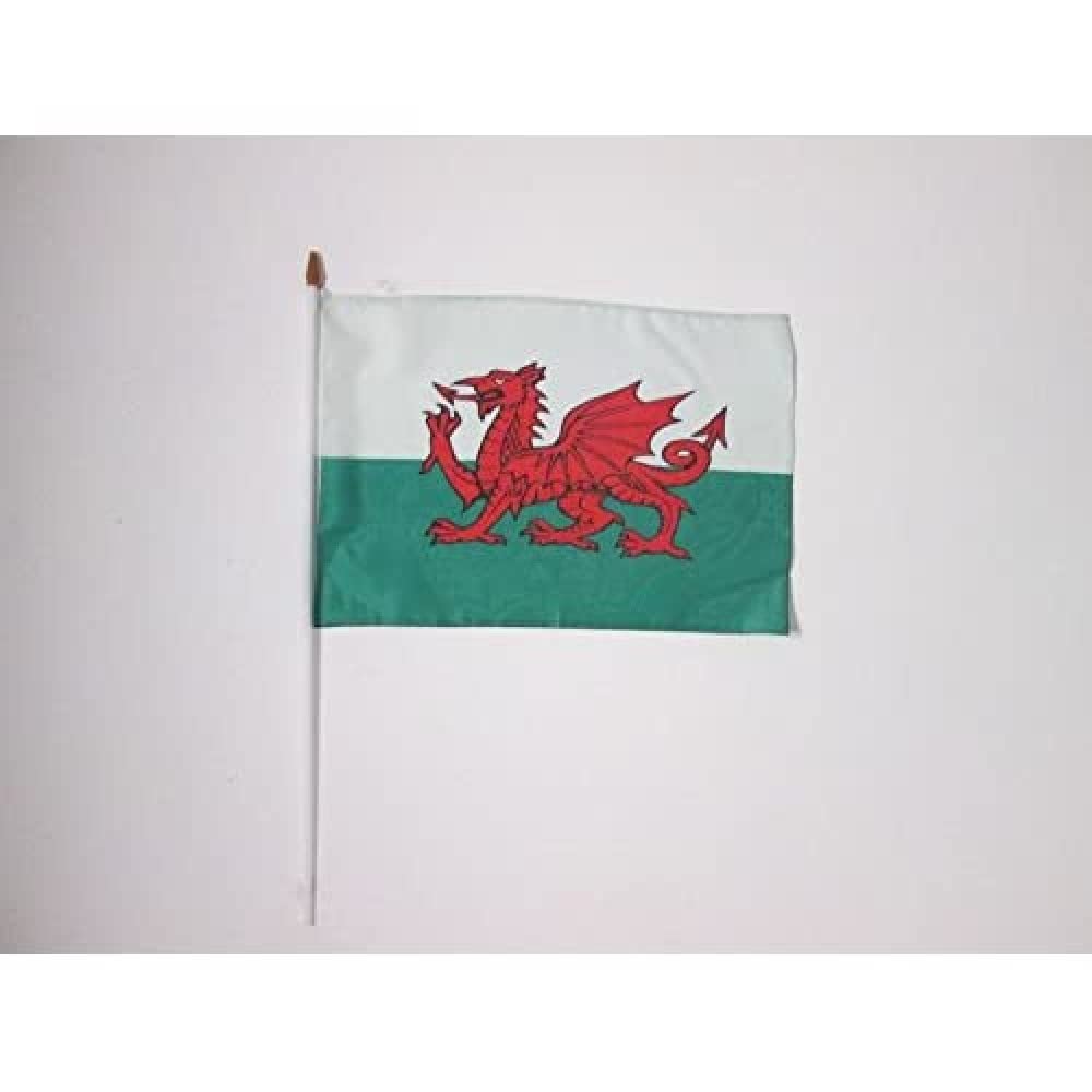Drapeau Nouvelle-Zélande 45x30cm hampe blanche AZ FLAG pour pavoisement et supporter