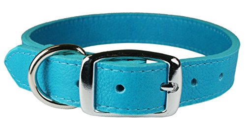 Collier cuir anti irritation Omni Pet turquoise pour chien sensible