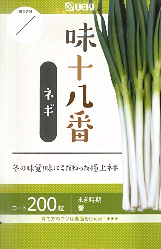 yqzlM \ԃlM R[g200 lA