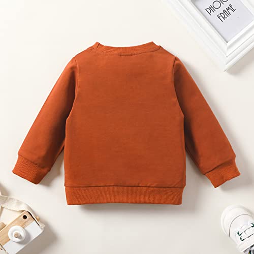 Baby Toddler Sweatshirt Casual Pullover Boy Girl Long Sleeve Crewneck Tops Kids Letter Print Sweatshirts for Boys Girls2