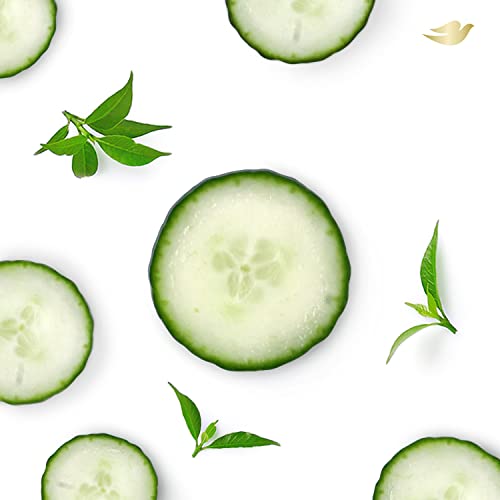 Dove Deodorant Spray For 48 Hour Protection Cucumber And Green Tea Aluminum Free Deodorant 4 Oz 3 Count #TOP6