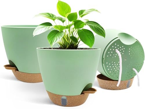TIKTALK 20cm Selbstbewässerungstopf 3er Set - Hochwertiger Blumentopf mit Bewässerungssystem & Wasserstandsanzeige. Ideal für Urlaub, Büro & Anfänger. Schützt Pflanzen 10+ Tage vor Austrocknen (Grün) TIKTALK 20cm Selbstbewässerungstopf 3er Set - Hochwertiger Blumentopf mit Bewässerungssystem & Wasserstandsanzeige. Ideal für Urlaub, Büro & Anfänger. Schützt Pflanzen 10+ Tage vor Austrocknen (Grün)