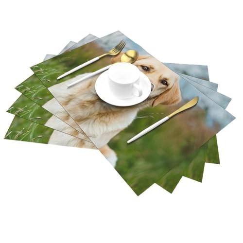 Set de table PVC labrador pour des repas en famille joyeux et des tables d'enfants bien protégées