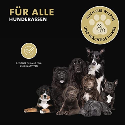 Peticare Anti-Schuppen Shampoo für Hunde | bei Juckreiz & Hautirritationen | für trockene & Sensible Hundehaut | wirkt rückfettend | einzigartiges PRS® System für Lange Wirkung - petDog Health 2114