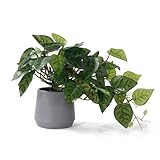 Pmyra Fake Pothos in Pots,Realistic Devil's Ivy Plant,Potted Plant Indoor Faux Plants,Artificial House Plants for Bedroom Farmhouse Bathroom Kitchen Office Desk Shelf Decor