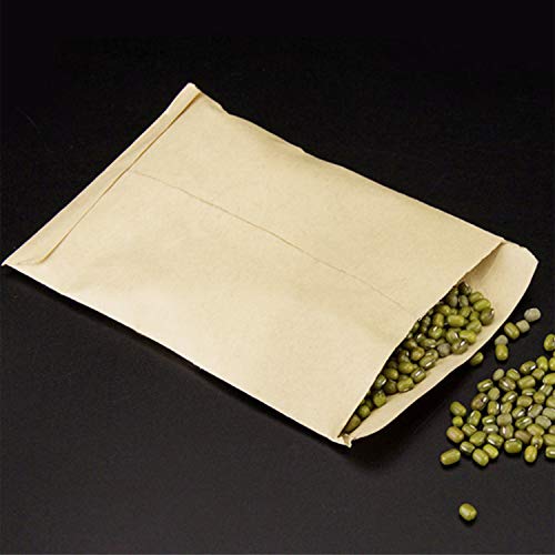 DGZZI Envelope de sementes 50 peças envelopes de moedas de 12,7 cm x 8,5 cm, sacos de papel kraft, p