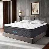 Queen Size Mattress 10 Inch Queen Mattresses in a Box Gel Memory Foam Hybrid Bed Mattress for Cool Sleep with Pocket Spring Motion Isolation, Pressure Relief, Fiberglass Free, Medium Firm Feel