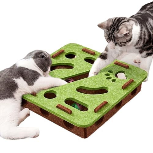 �L�p �m��ߋ� �������� ��l�V�� �������� �É��݌v �g�ݗ��ĕs�v ���S�f�� ������� �^���s������ (�l�p �� ���F)