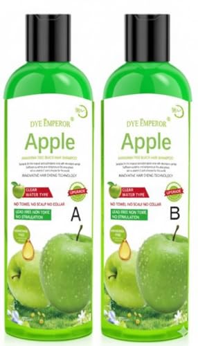 Image of Apple Natural Black Hair Fruit Vinegar Hair Dye Color For Both Men Women Ammonia Free Color Gel Hair Black Gel 200 Ml Original Beaute Black Cover Gray Hair Gel
